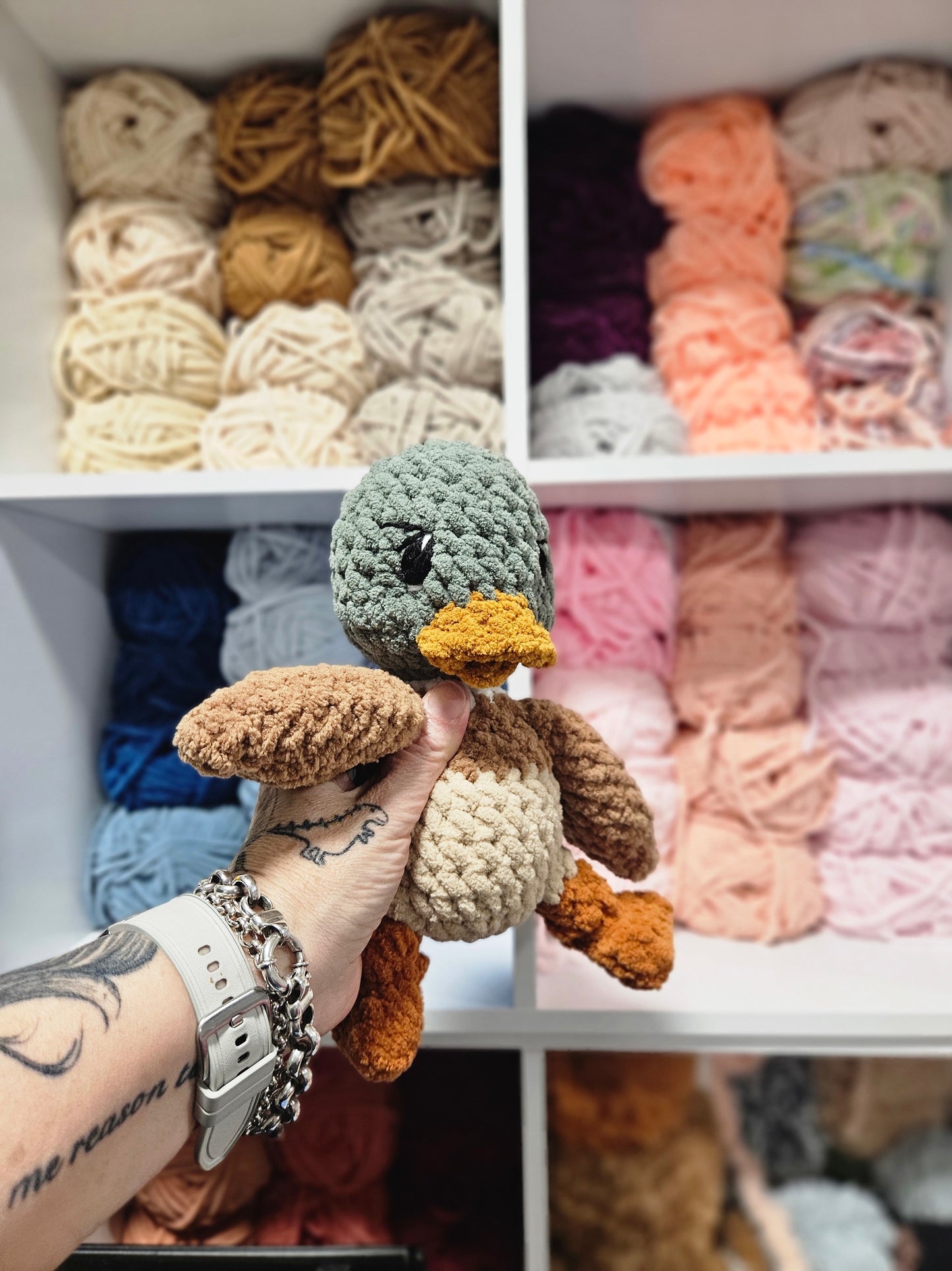 Novie Duckling (Mallard) 🦆