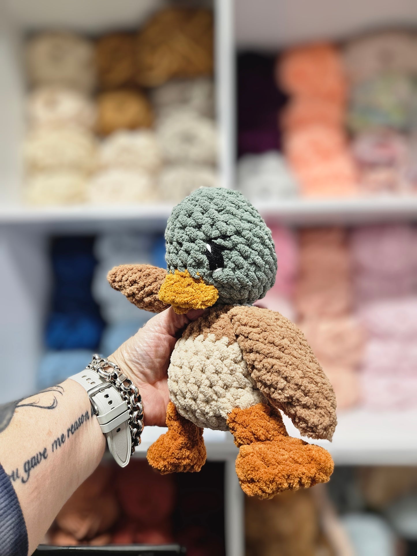Novie Duckling (Mallard) 🦆