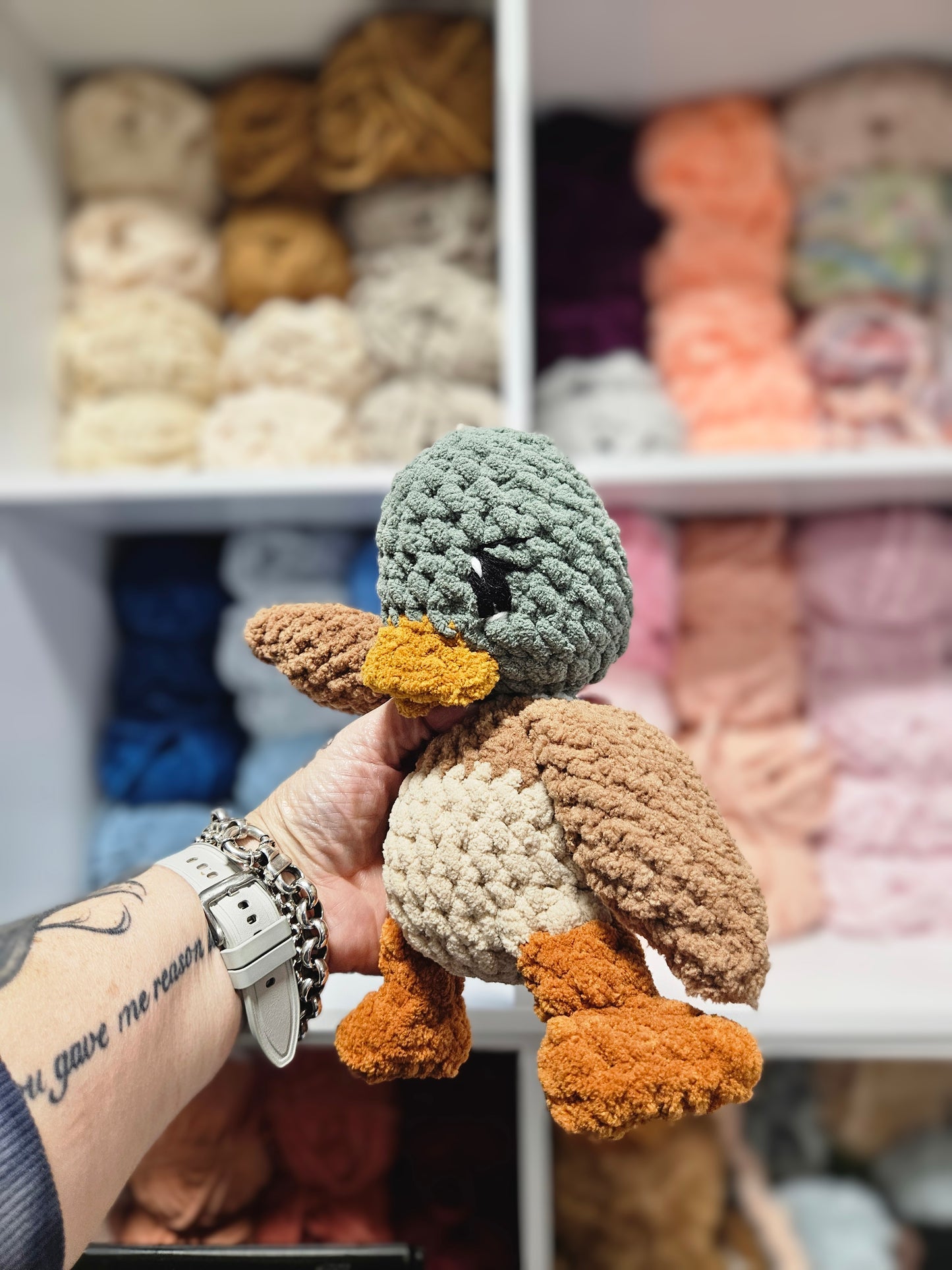 Novie Duckling (Mallard) 🦆